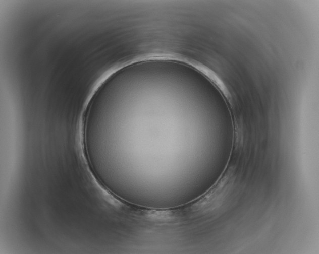 X0000112021006200908171426