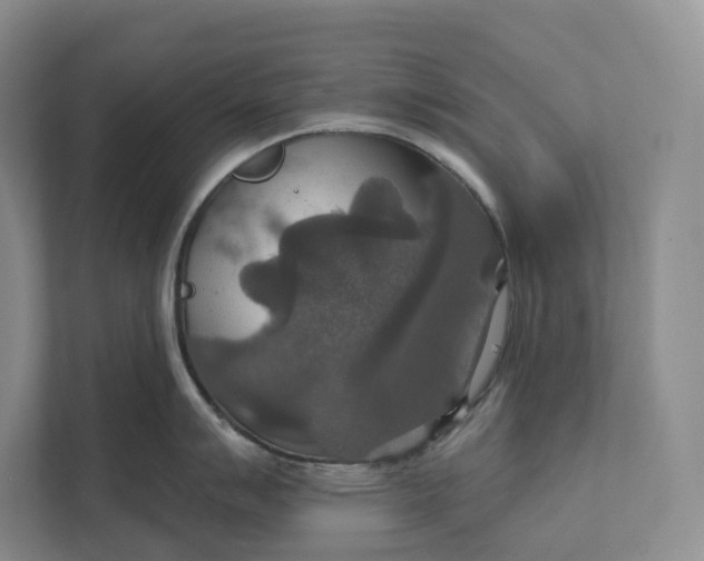 X0000112021007200908171426