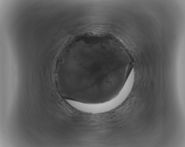 X0000112021009200908171425