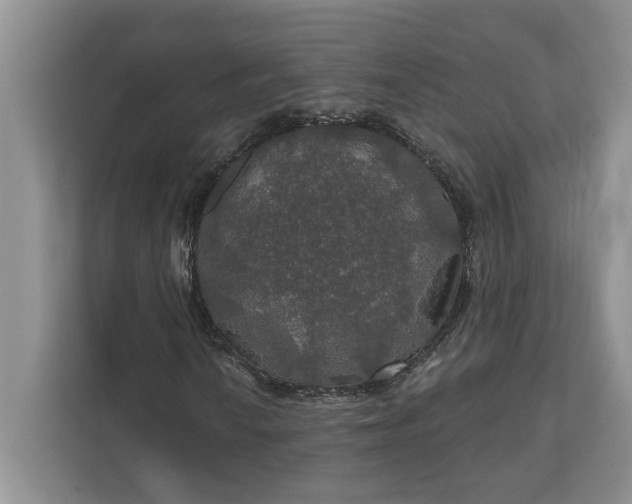 X0000112021010200908171425