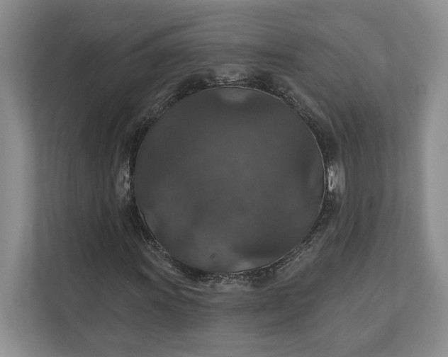 X0000112021011200908171425