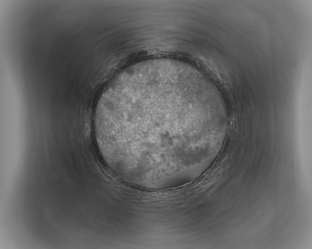 X0000112021012200908171425