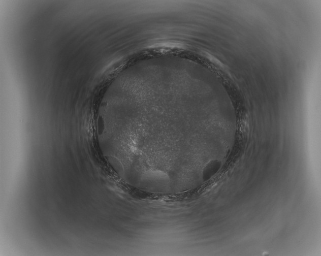 X0000112021014200908171425