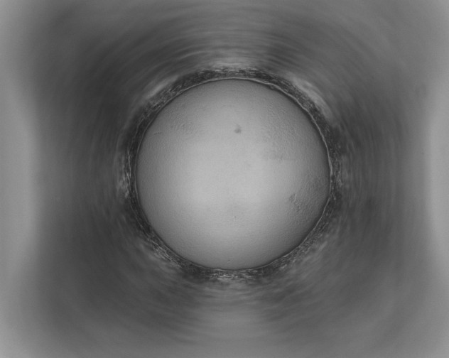 X0000112021015200908171425