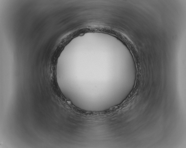 X0000112021016200908171425