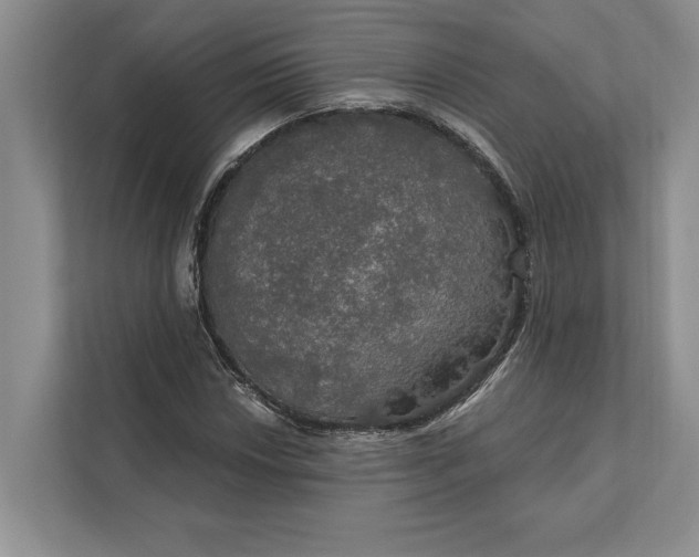 X0000112021018200908171425