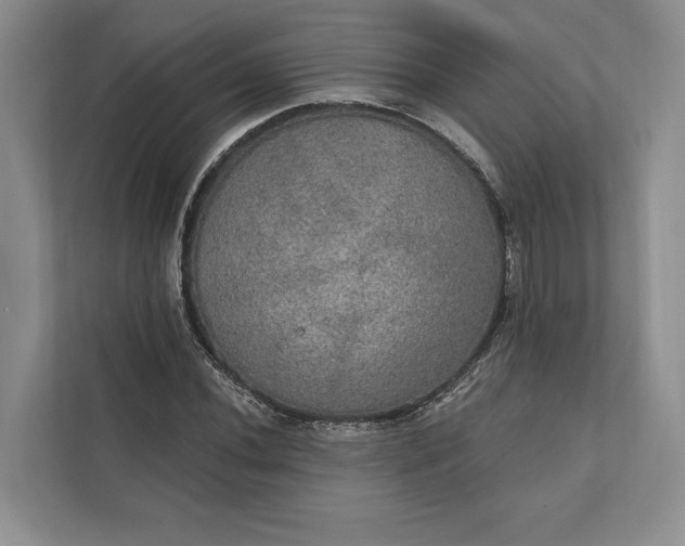 X0000112021020200908171426