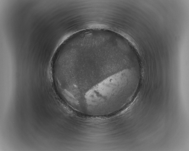 X0000112021022200908171426