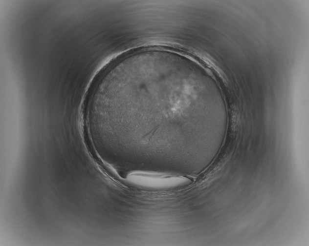 X0000112021024200908171426