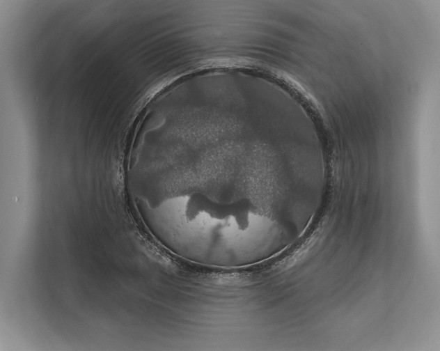 X0000112021025200908171426