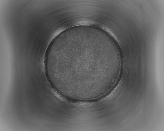 X0000112021026200908171426