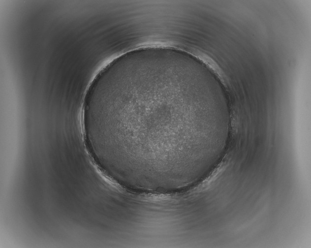 X0000112021030200908171426