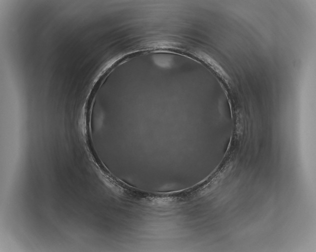 X0000112021031200908171426