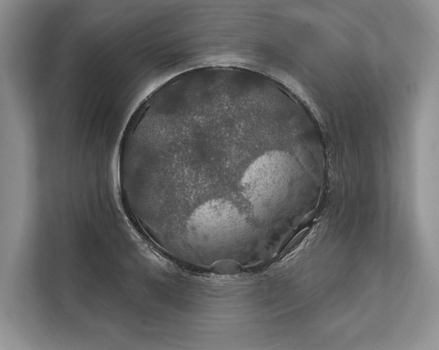 X0000112021032200908171426