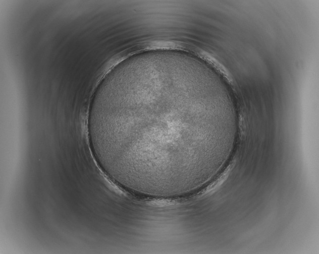 X0000112021033200908171426