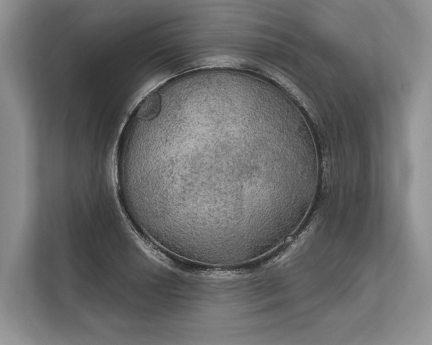 X0000112021034200908171426