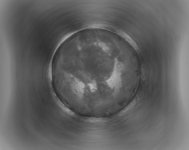 X0000112021036200908171426