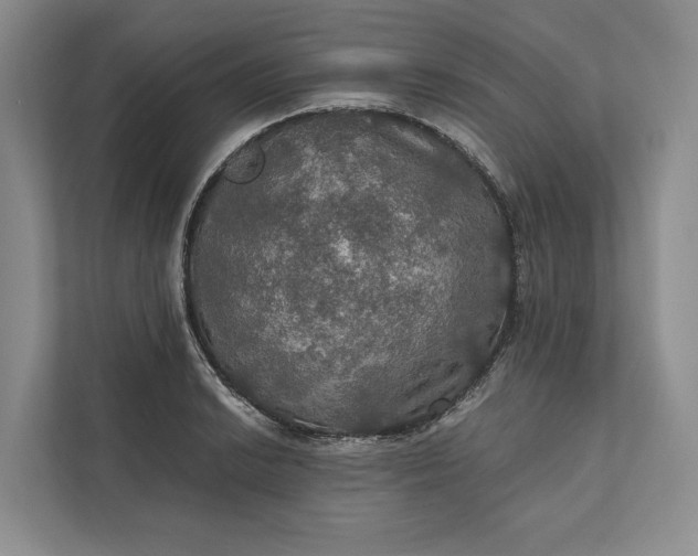 X0000112021038200908171426