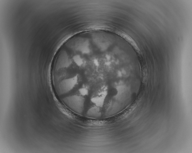 X0000112021039200908171426