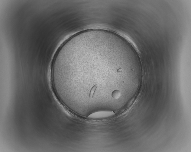 X0000112021040200908171426