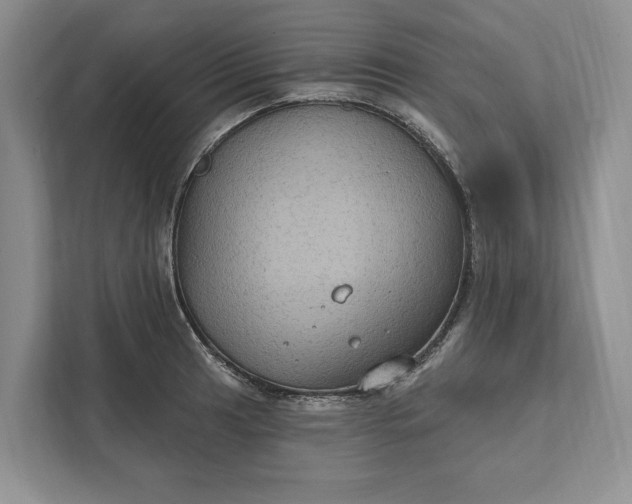 X0000112021041200908171426