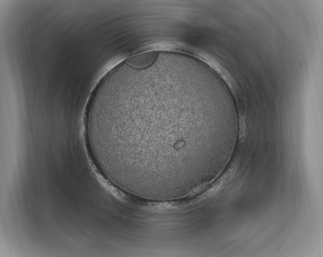 X0000112021042200908171426