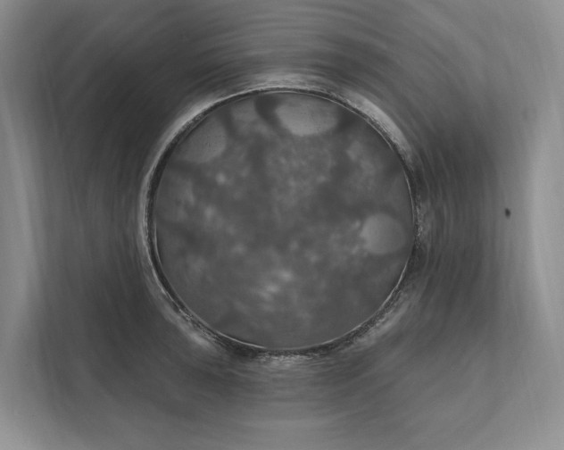 X0000112021043200908171426