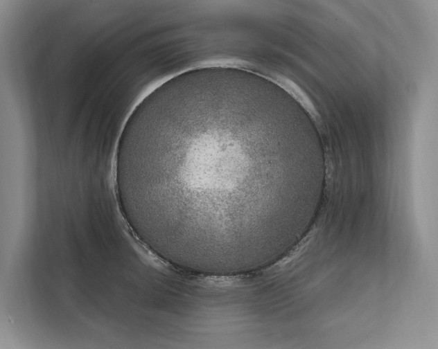 X0000112021044200908171426