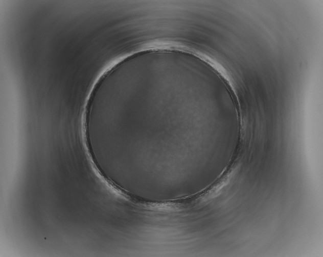 X0000112021045200908171426