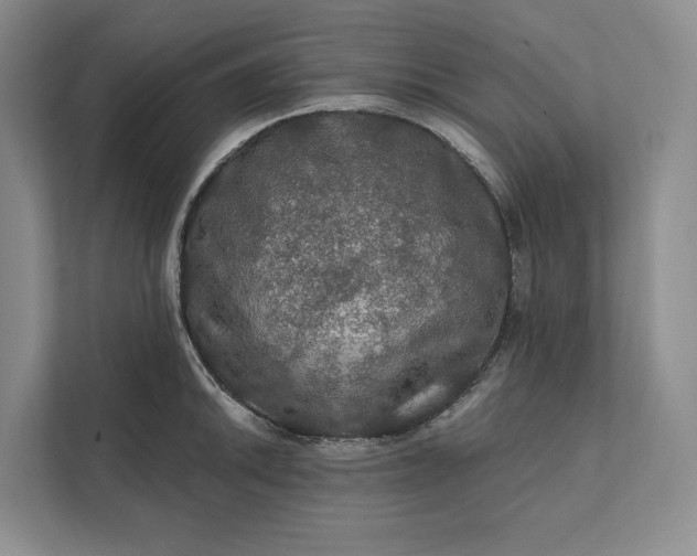 X0000112021046200908171426