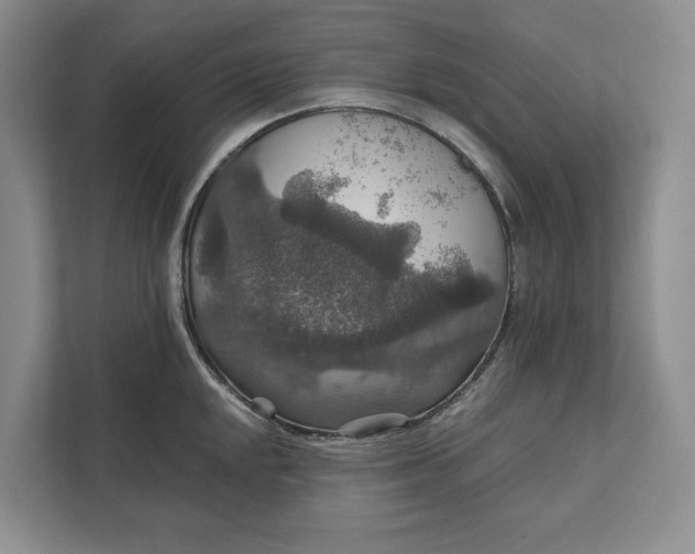 X0000112021048200908171426