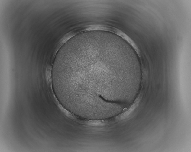 X0000112021049200908171426