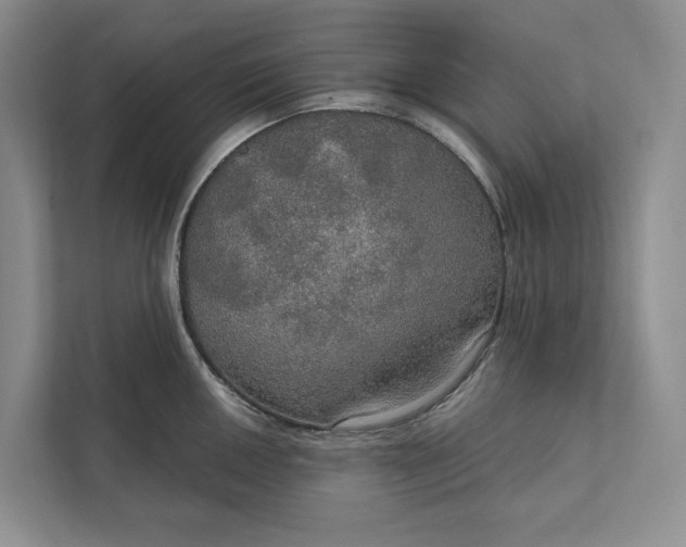 X0000112021050200908171426