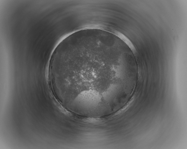 X0000112021052200908171426