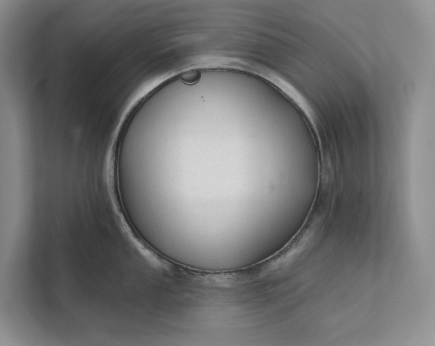 X0000112021053200908171426