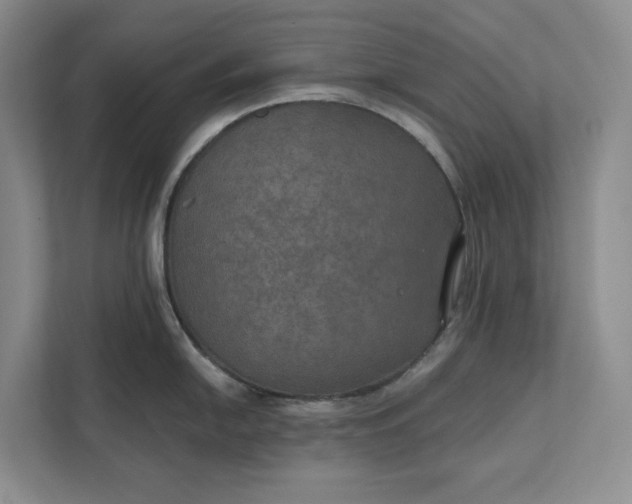 X0000112021054200908171426