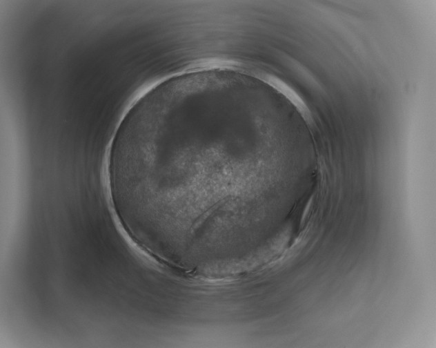 X0000112021055200908171426