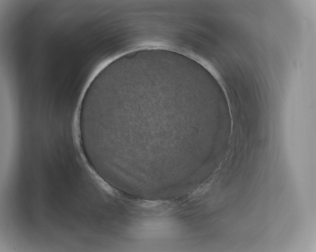 X0000112021056200908171426