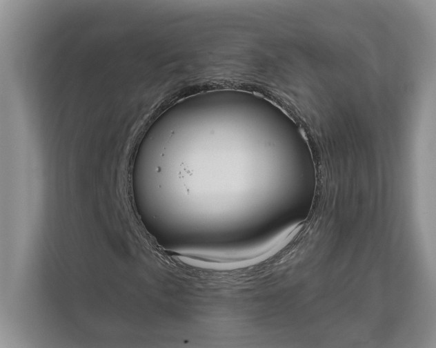 X0000112021057200908171425