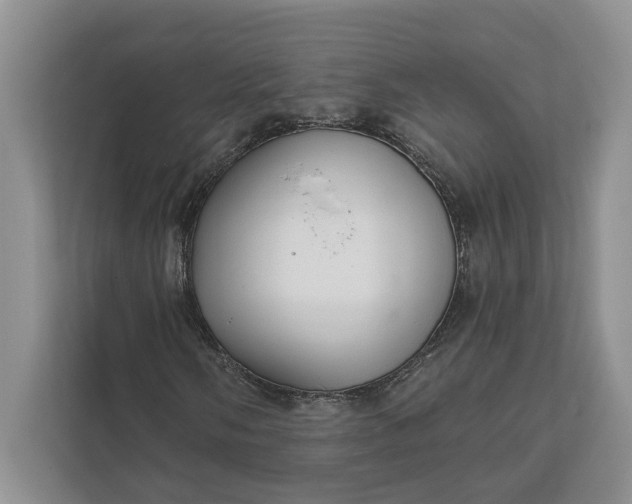 X0000112021058200908171425