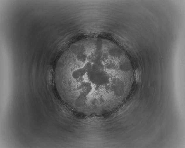 X0000112021059200908171425