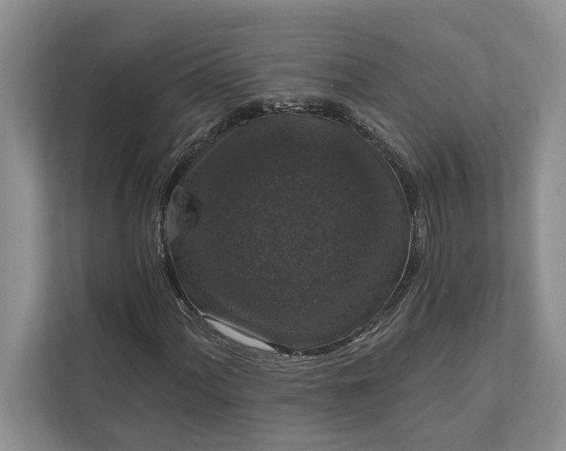 X0000112021060200908171425