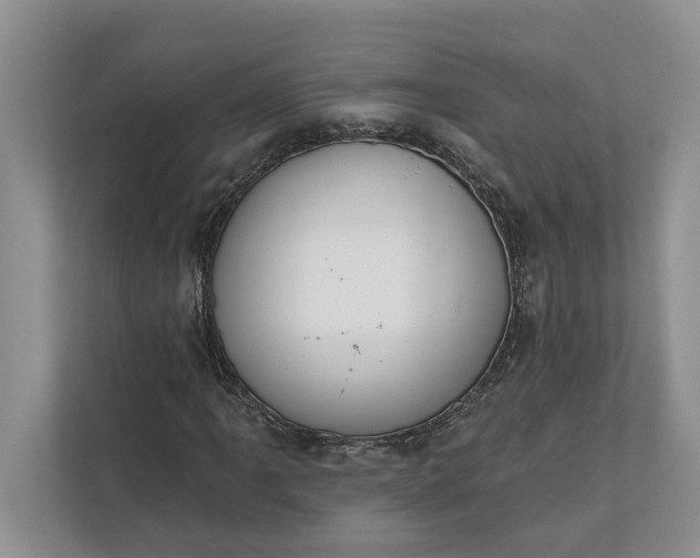 X0000112021061200908171425