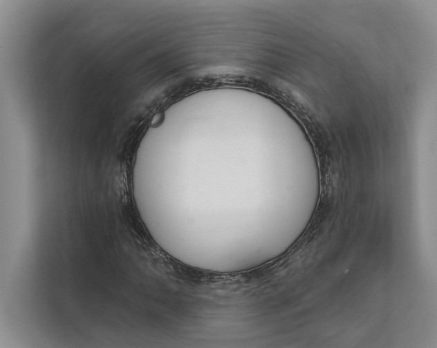 X0000112021062200908171425