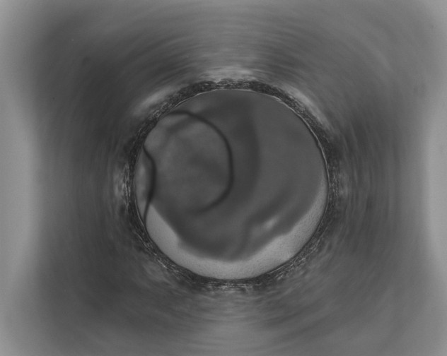 X0000112021063200908171425