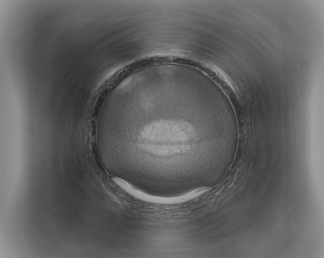 X0000112021064200908171425