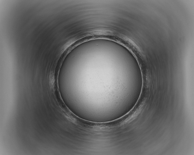 X0000112021065200908171425