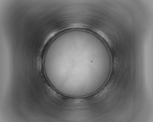 X0000112021067200908171425