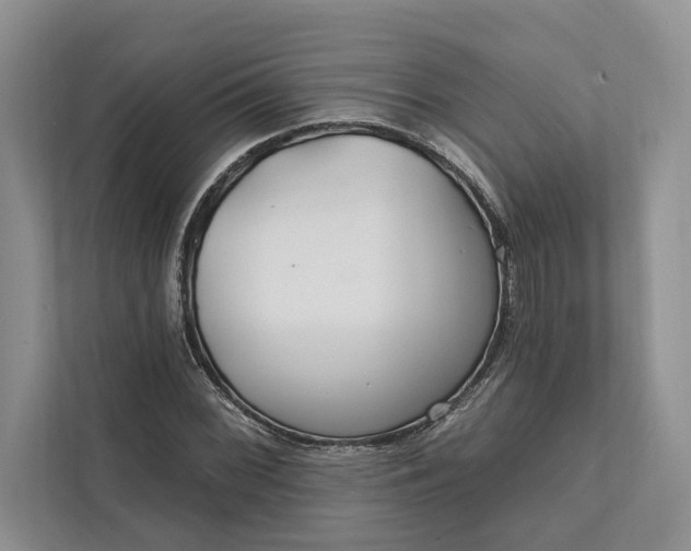 X0000112021068200908171425