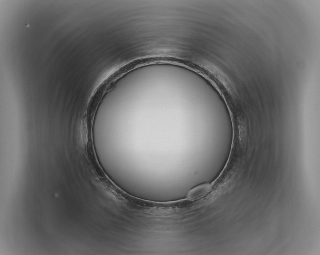 X0000112021069200908171425